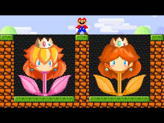 Can Mario Collect Peach Flower and Daisy Flower in New Super Mario Bros Wii!