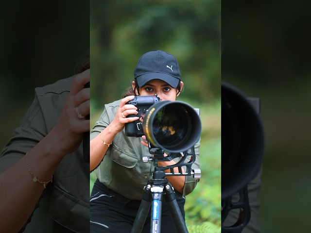 Eye to eye👁️👁️✨#wildlifephotography  #shortvideo  #nature #nikonz9 #aparupadey