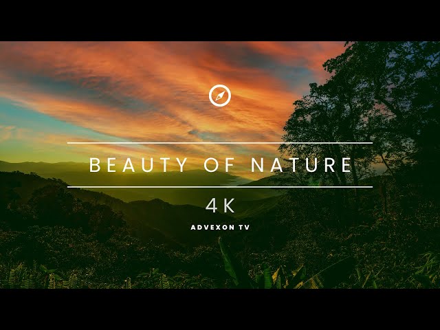 Beauty of Nature | Advexon TV [4K]