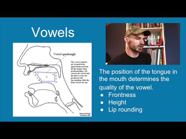 Phonetics: Intro to linguistics [Video 2]