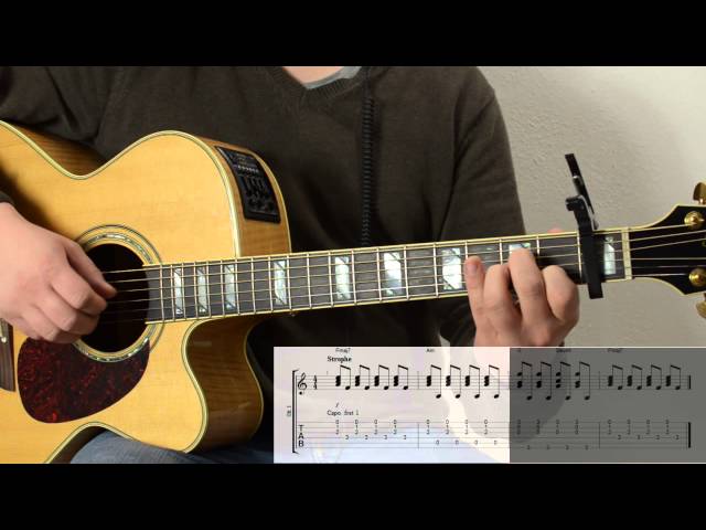 Birdy-People Help the People /Tutorial / Guitar Lesson