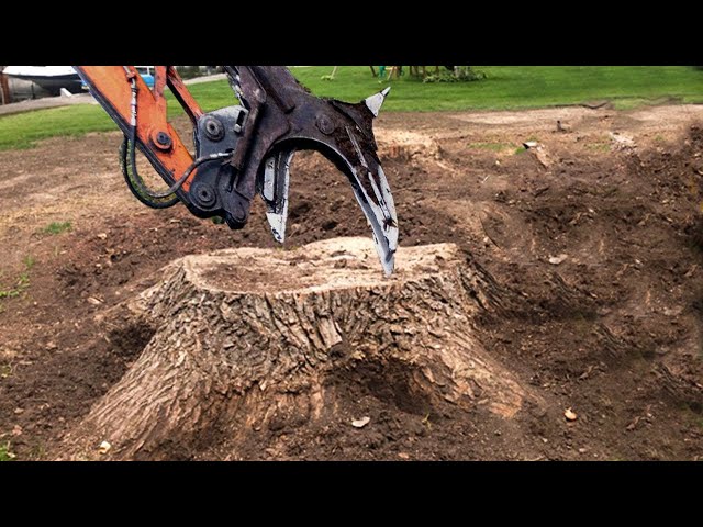 Extreme Dangerous Huge Stump Destroy Machines in Action, Fast Stump Removal Grinding Skill Equipment