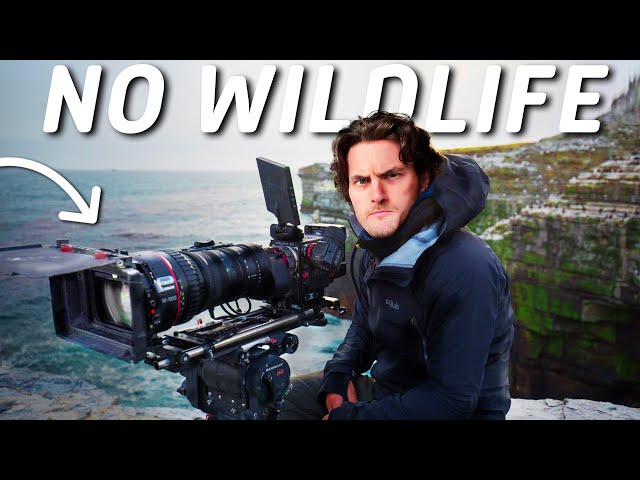 How to make a wildlife documentary...with no wildlife