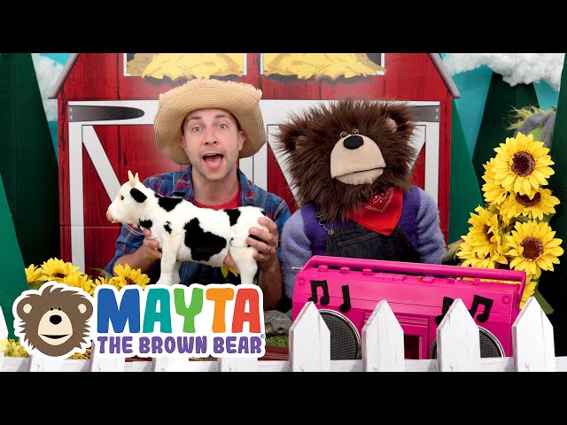 Mayta the Brown Bear - Toddler Learning Videos Live Stream