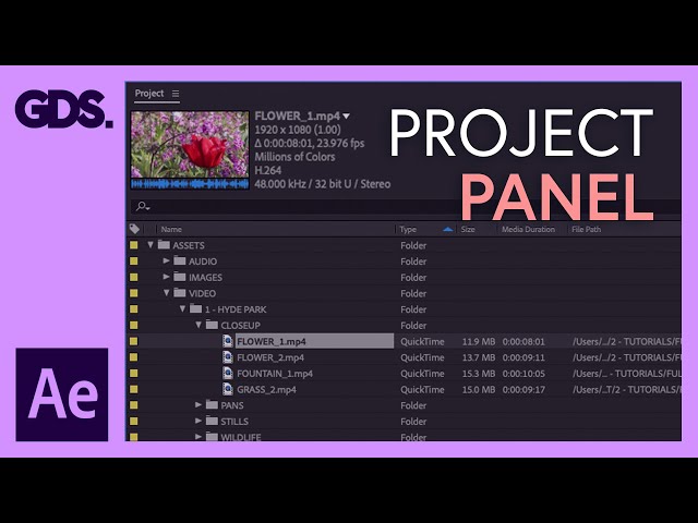 The Project Panel ‘Links panel’ In Adobe After Effects Ep5/48 [Adobe After Effects for Beginners]