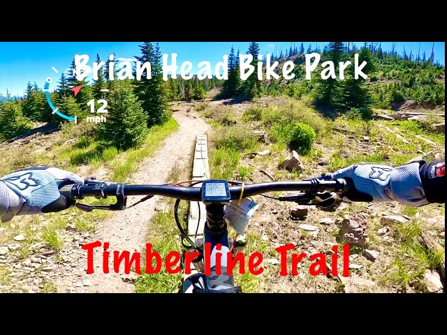 Brian Head Bike Park - Timberline Trail - 2020 Enduro Race Stage - Trek Fuel EX on DVO Diamond 140m