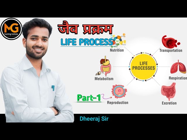 Life Process ।। जैव प्रक्रम।। Part-1।। By Dheeraj Sir