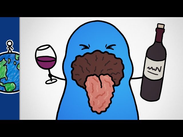 Why Does Wine Make Your Mouth Feel Dry?
