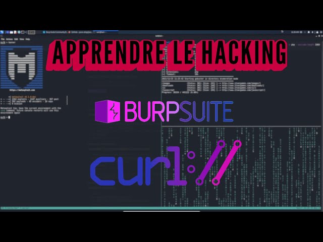 Apprendre les bases du hacking - Enumération & Exploit - Curl & Burp Suite