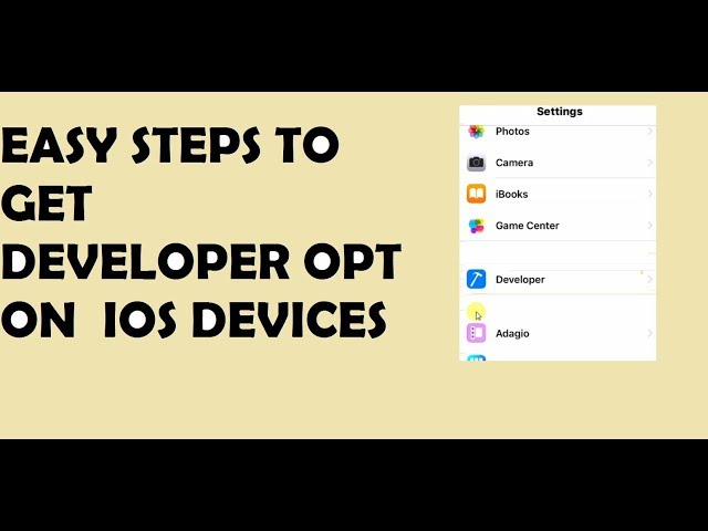 INSTALL DEVELOPER OPTION ON ANY IOS DEVICES (PART 2)