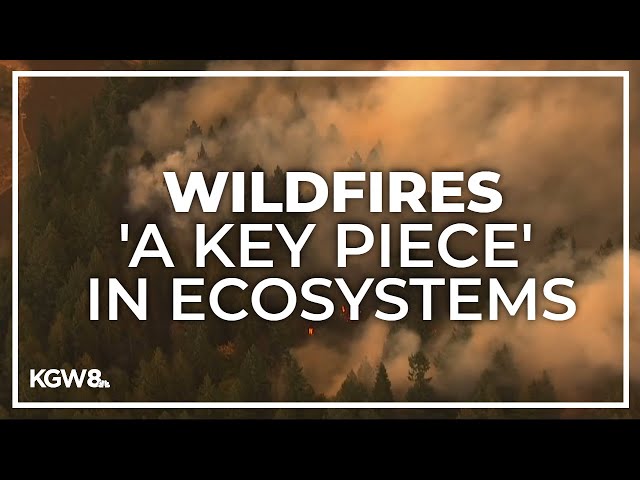 More wildfires on the horizon for cold, wetter regions of the Pacific Northwest