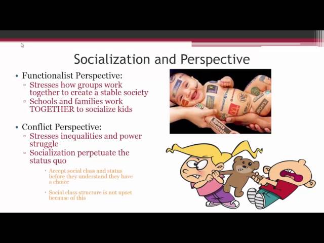 Socialization Overview