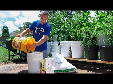 Container Gardening Videos