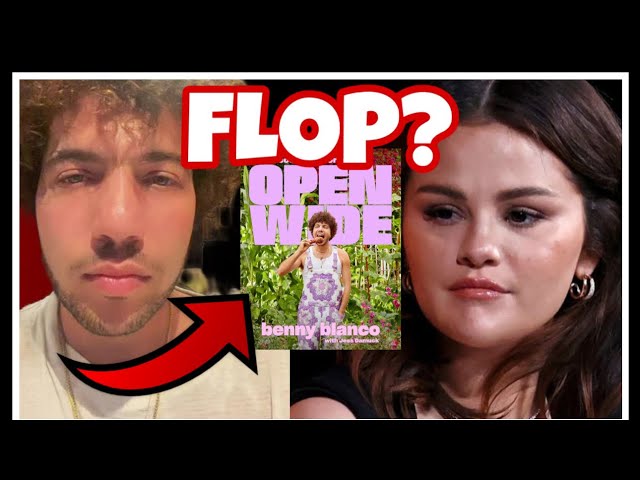 Benny Blanco NEW BOOK FLOPS?(Where is Selena Gomez Fans)??