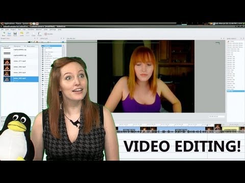 Professional vs Open Source Video Editing