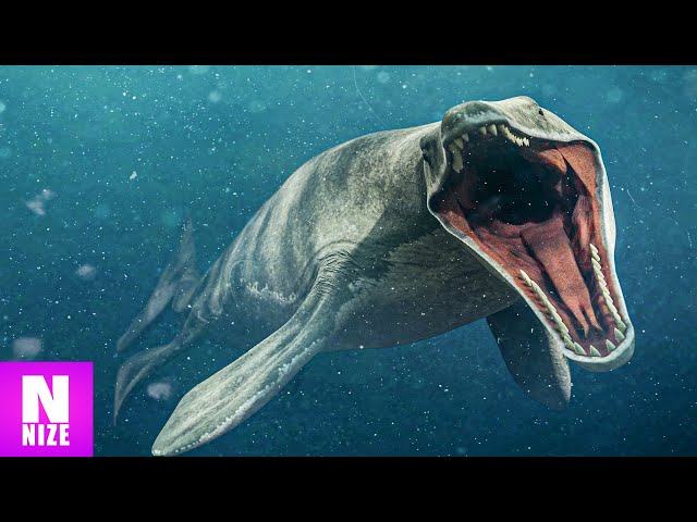 20 Stärkste Urzeit Wassertiere