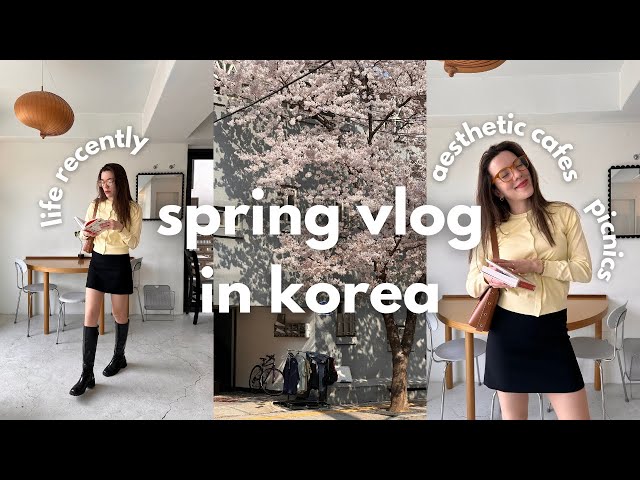 korea vlog 🌸 cherry blossom season 2024, aesthetic cafes, picnics, updates & cozy spring vibes