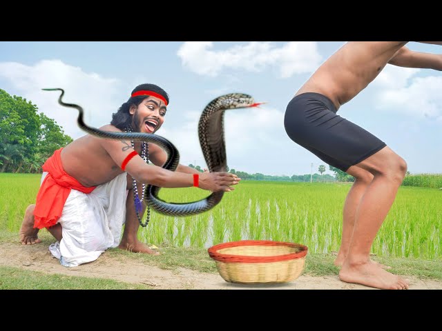 Must Watch New Special Comedy Video 2023 😎Totally Amazing Comedy Episode 68 By #funnyvideo