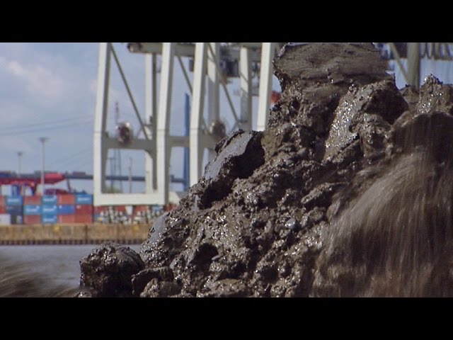 Hamburger Hafenschlick gefährdet Wattenmeer Schleswig-Holsteins | Panorama 3 | NDR