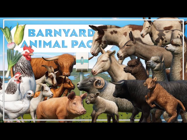 🐔 ALL NEW MORPHS, ANIMALS, SCENERY AND FEATURES!! | Planet Zoo Barnyard Animal Pack & Update 1.17