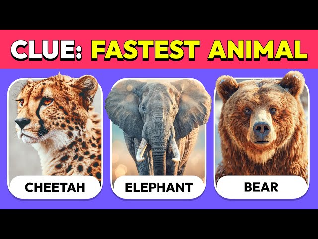 Guess the Animal by only 1 CLUE / HINT 🐼🦋🐘 | Ultimate Animal Quiz - TOP 30 Facts