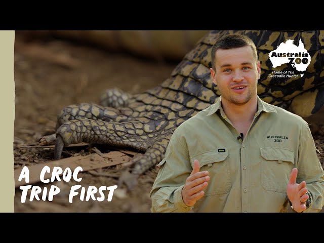 Chandler takes on a new challenge | Wildlife Warriors Missions