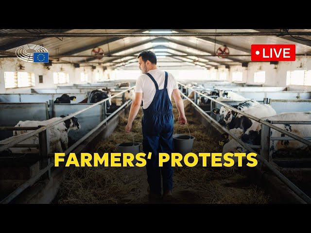 Parliament discusses farmers' concerns across the EU