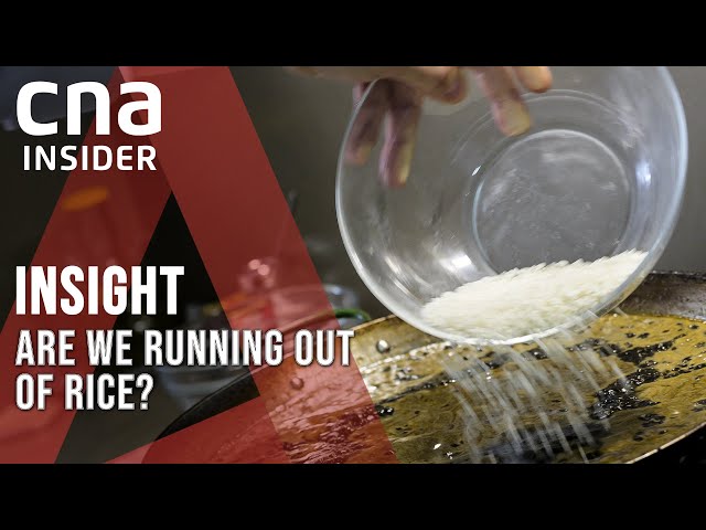 Asia's Falling Rice Yields: What Threatens Our Rice Bowl? | Insight | Full Episode