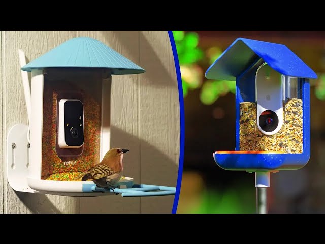 BEST BIRD FEEDER CAMERAS 2024 -  THE ONLY 5 YOU SHOULD CONSIDER TODAY!