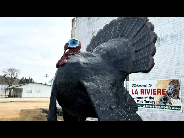 Winnipeg town has a giant turkey statue