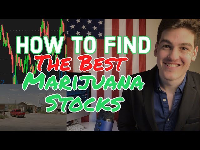 Top Marijuana Stocks: How To Find & Trade in 2019 ✳️