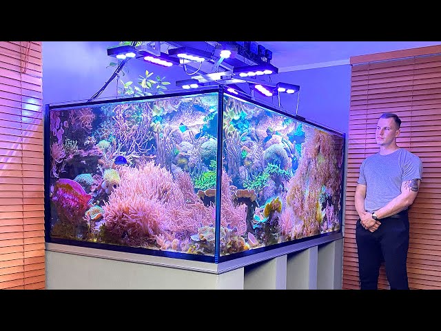 GERMAN REEF TANKS - "Nature Reef" - 3000 liter / 790 gallon coral aquascape / saltwater aquarium