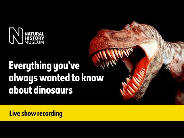 Everything You've Always Wanted to Know About Dinosaurs | Live talk with NHM scientist