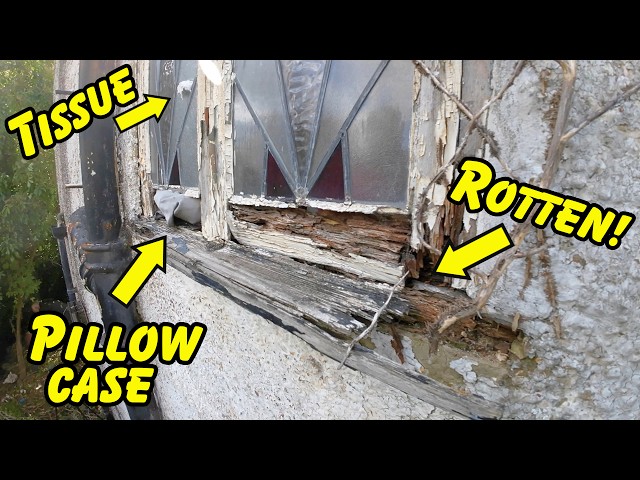 FREE House Makeover.. ROTTEN Windows, Roof Leaks, Render Falling Off!