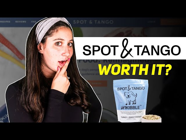 Spot and Tango Review 2024: Is It Worth the Price?