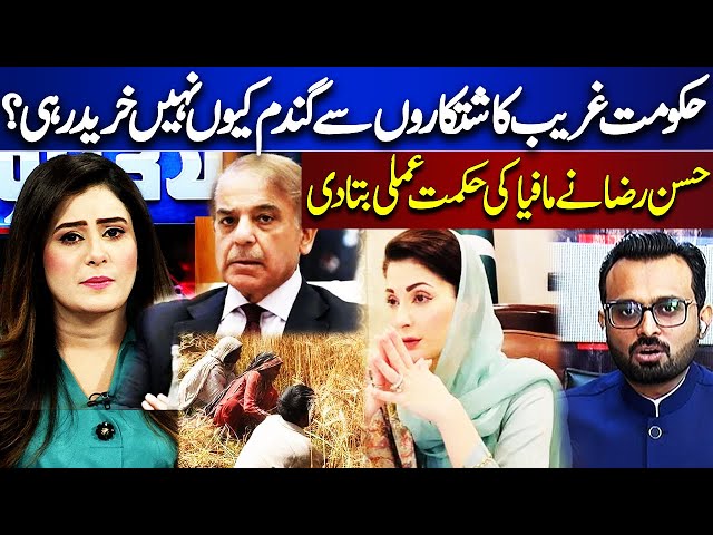 Why Is The Government Not Buying Wheat From Poor Farmers? Hasan Raza Explain The Strategy Of Mafia