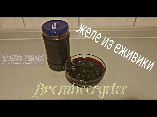 Brombeergelee желе из ежевики, Monsieur Cuisine Plus, Thermomix, Marmelade