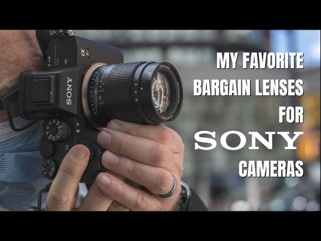 My Favorite Bargain Lenses for Sony Cameras