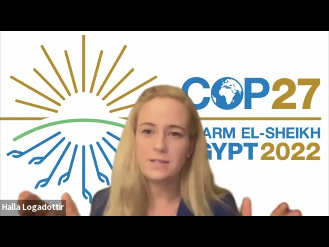 Reactions from COP27: Energy Security