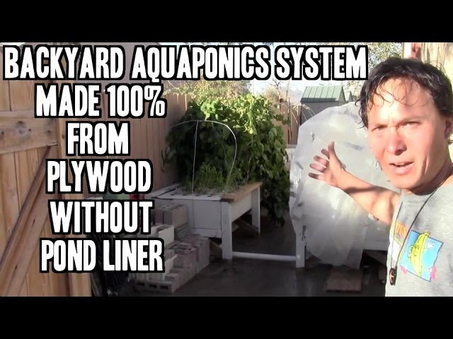 Backyard Aquaponics Made from 100% Plywood without Liner