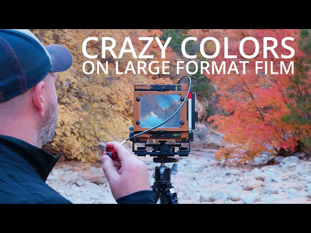 The Best Fall Colors I've Photographed Yet | Large Format Photography