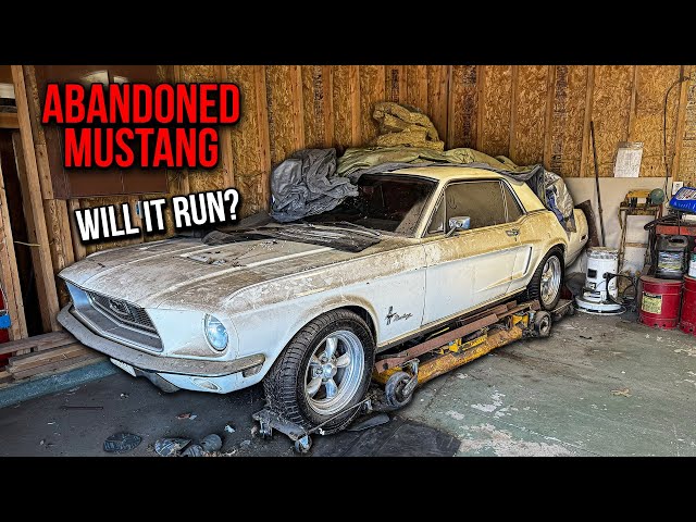 First Wash in 18 Years: ABANDONED Ford Mustang | Will It Run?