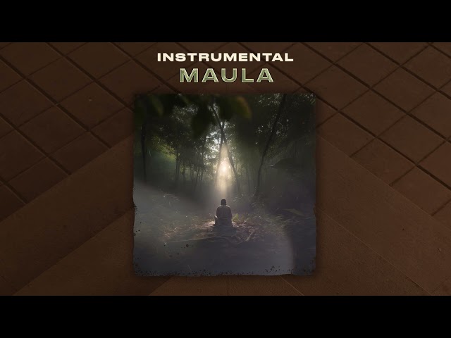KSHMR, Munawar Faruqui - Maula [Official Instrumental Mix]