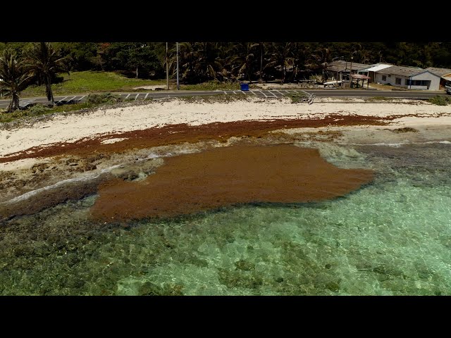 Climate Change Threatens Life on Colombia's San Andres Island