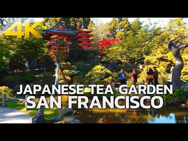 SAN FRANCISCO - Japanese Tea Garden, Golden Gate Park, San Francisco, California, USA, Travel 4K UHD