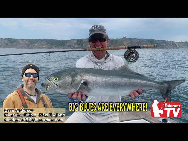 July 21st 2022 New England Video Fishing Forecast with Dave Anderson
