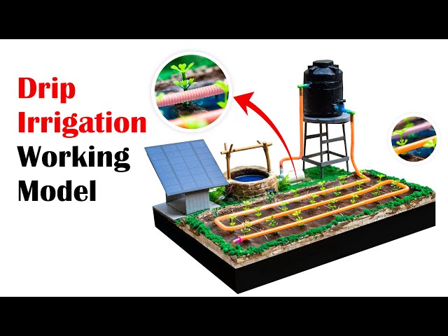 Drip irrigation watering methods model