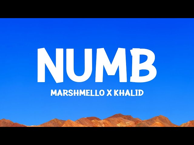 @marshmello , @khalid - Numb (DJ YUKI Remix) Lyrics