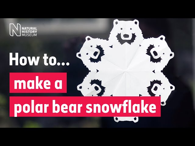 How to make a polar bear snowflake | Natural History Museum