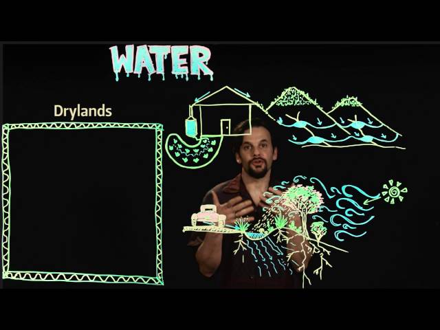 Permaculture Design for Water